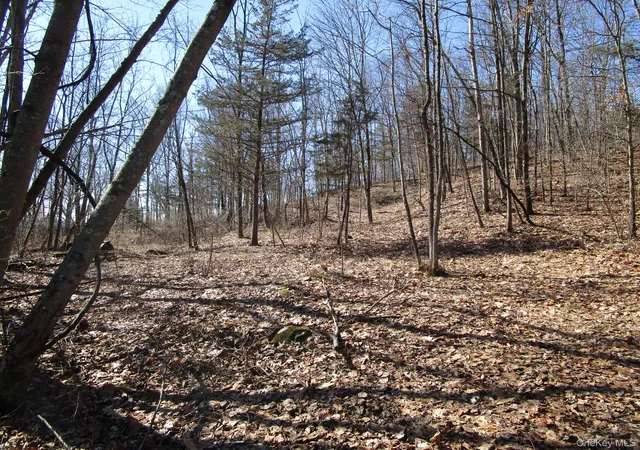 4th image of Co Rt 12, Wawayanda, NY 10958 | MLS# 973871