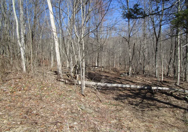 5th image of Co Rt 12, Wawayanda, NY 10958 | MLS# 973871