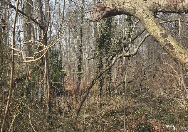 Photo 3 of Land for sale at Vl(36) Mastic Blvd, Brookhaven, NY 11950 | MLS# 974088 | Listing updated on 2026-04-15