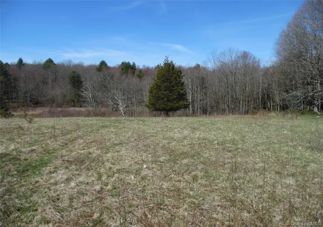 Homes for sale in Bethel, NY | Creamery Rd, Bethel, NY 12720 | MLS# 974433