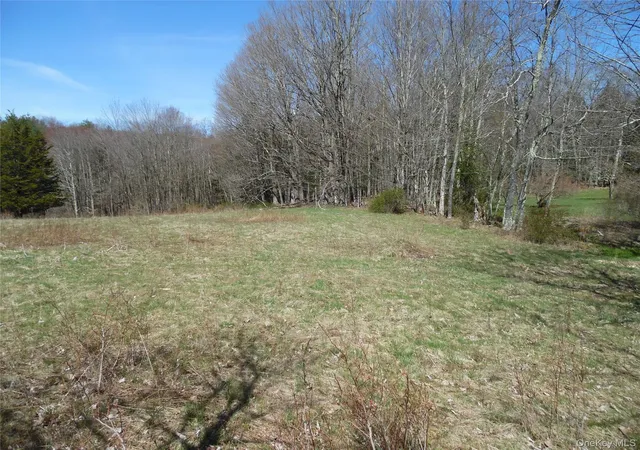 Homes for sale in Bethel, NY | Creamery Rd, Bethel, NY 12720 | MLS# 974433