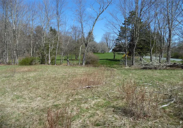 Homes for sale in Bethel, NY | Creamery Rd, Bethel, NY 12720 | MLS# 974433