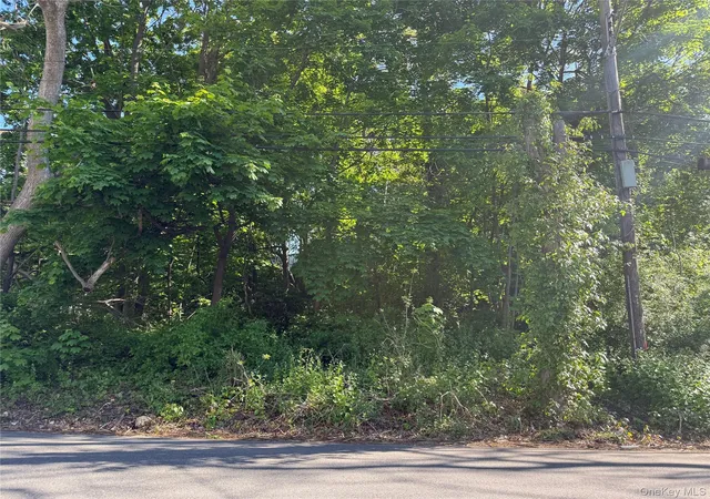 1st image of 0 Central Islip Blvd, Islip, NY 11779 | MLS# 974676