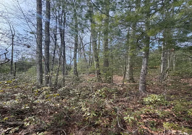Homes for sale in Wawarsing, NY | Bennett Rd, Wawarsing, NY 12458 | MLS# 976309