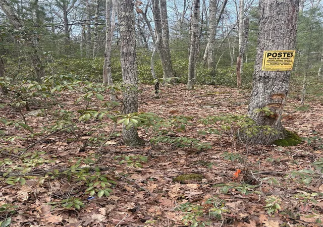 2nd image of Bennett Rd, Wawarsing, NY 12458 | MLS# 976309