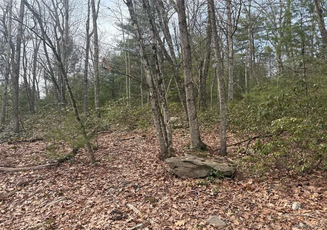 Homes for sale in Wawarsing, NY | Bennett Rd, Wawarsing, NY 12458 | MLS# 976309