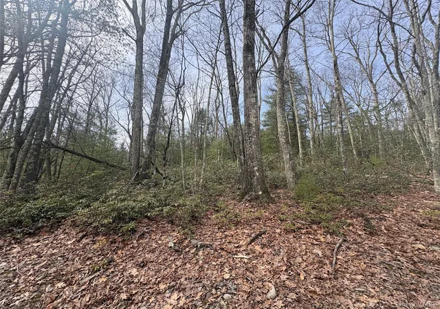 Homes for sale in Wawarsing, NY | Bennett Rd, Wawarsing, NY 12458 | MLS# 976309