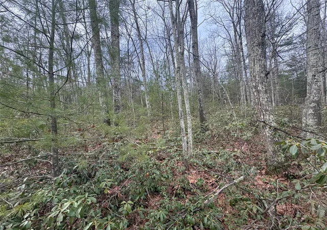 Photo 1 of Land at Bennett Rd, Napanoch, NY 12458 | MLS# 976359 | | Sold on 2026-07-07