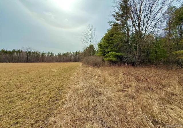 20th image of 34 Ichabod Crane Cir, Coxsackie, NY 12051 | MLS# 976468