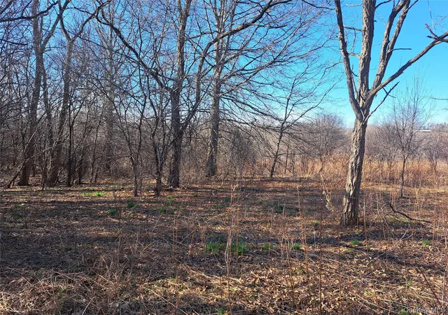 Homes for sale in Hamptonburgh, NY | Tbd Kiernan Rd, Hamptonburgh, NY 10916 | MLS# 976549