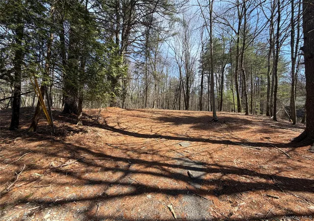 Photo 1 of Land for sale at 42 Yorkville Park Rd, Mamakating, NY 12721 | MLS# 976826 | Listing updated on 2026-03-28