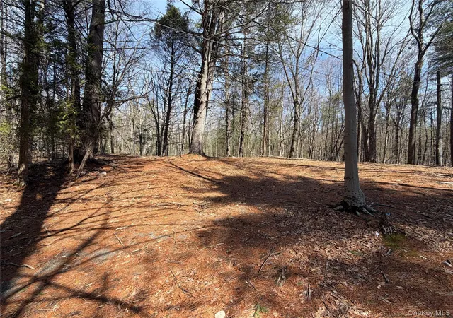 Photo 2 of Land for sale at 42 Yorkville Park Rd, Mamakating, NY 12721 | MLS# 976826 | Listing updated on 2026-03-28