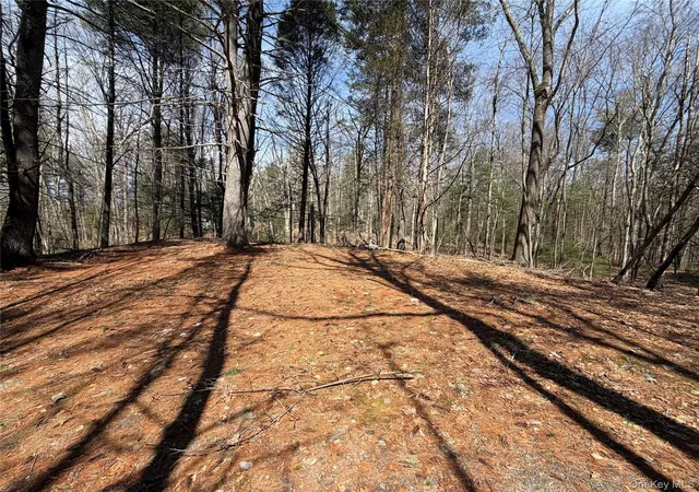 Photo 3 of Land for sale at 42 Yorkville Park Rd, Mamakating, NY 12721 | MLS# 976826 | Listing updated on 2026-03-28