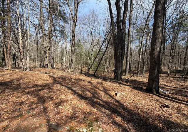 Photo 4 of Land for sale at 42 Yorkville Park Rd, Mamakating, NY 12721 | MLS# 976826 | Listing updated on 2026-03-28