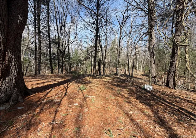 Photo 5 of Land for sale at 42 Yorkville Park Rd, Mamakating, NY 12721 | MLS# 976826 | Listing updated on 2026-03-28