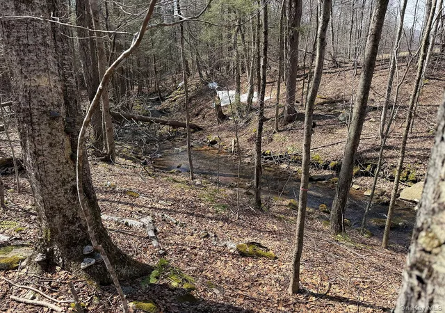 Photo 2 of Sale Pending at 0 Menges Rd, Callicoon, NY 12791 | MLS# 976899 | Listing updated on 2026-06-24