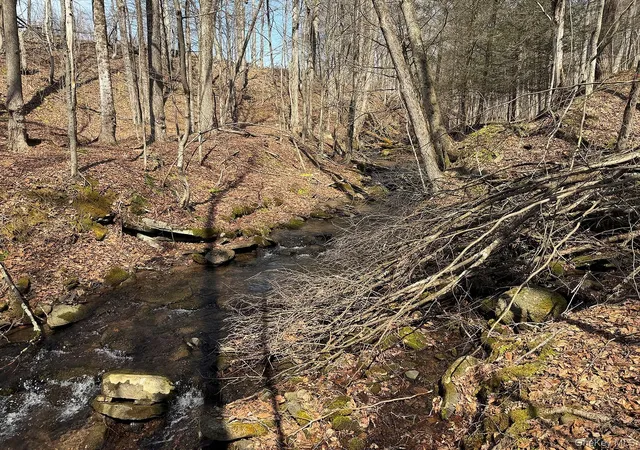 Photo 35 of Sale Pending at 0 Menges Rd, Callicoon, NY 12791 | MLS# 976899 | Listing updated on 2026-06-24