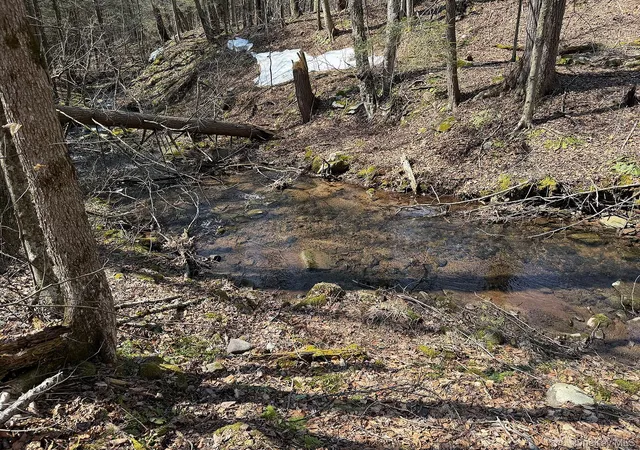 Photo 4 of Sale Pending at 0 Menges Rd, Callicoon, NY 12791 | MLS# 976899 | Listing updated on 2026-06-24