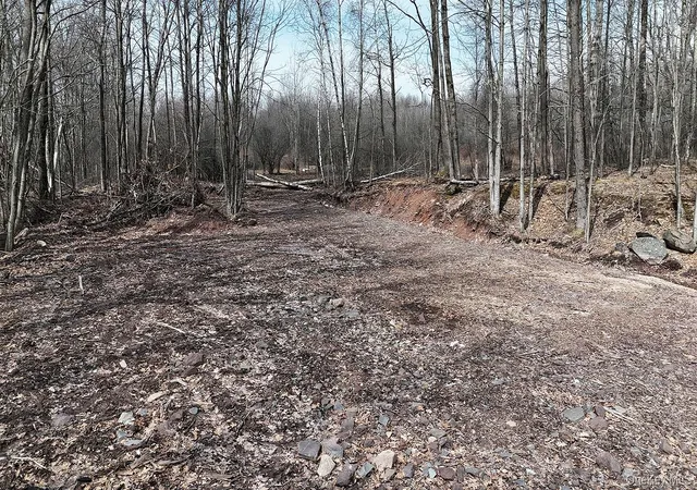 Photo 5 of Sale Pending at 0 Menges Rd, Callicoon, NY 12791 | MLS# 976899 | Listing updated on 2026-06-24