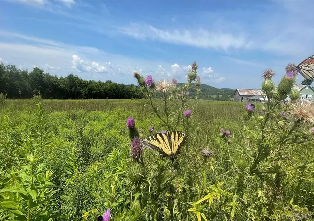 Land at Beechwoods Rd, Callicoon, NY 12723 | MLS# 977156 | | Sold on 2026-09-02