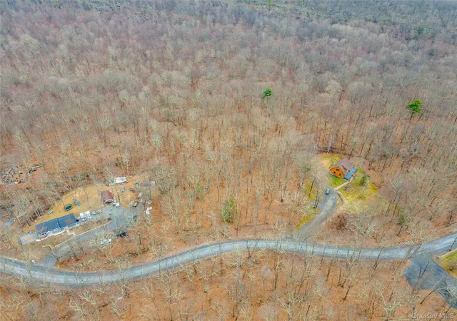 3rd image of 100 Lewis Ln, Plattekill, NY 12589 | MLS# 977261