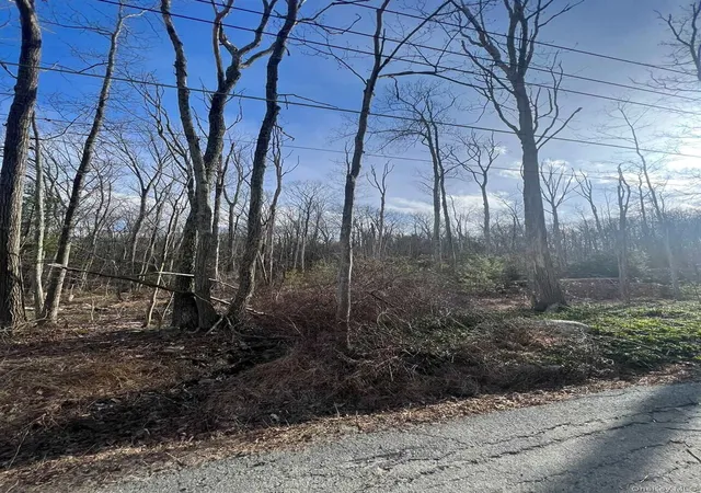 Photo 3 of Sale Pending at 0 Laurel Trl, Wurtsboro, NY 12790 | MLS# 977647 | Listing updated on 2026-08-15