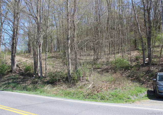 2nd image of 0 Old Route 22, Amenia, NY 12501 | MLS# 977656