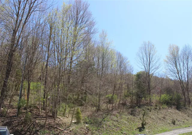 3rd image of 0 Old Route 22, Amenia, NY 12501 | MLS# 977656