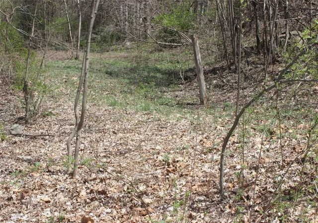 4th image of 0 Old Route 22, Amenia, NY 12501 | MLS# 977656