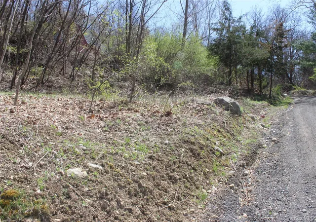 5th image of 0 Old Route 22, Amenia, NY 12501 | MLS# 977656