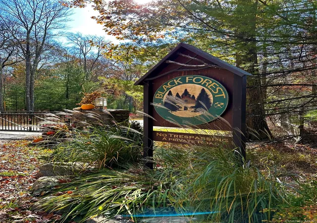 Homes for sale in Lumberland, NY | Upper Lumber Rd, Lumberland, NY 12737 | MLS# 977700