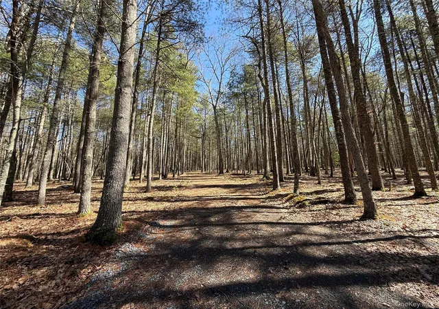 Homes for sale in Lumberland, NY | Upper Lumber Rd, Lumberland, NY 12737 | MLS# 977700