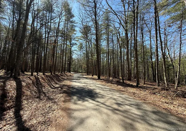 Homes for sale in Lumberland, NY | Upper Lumber Rd, Lumberland, NY 12737 | MLS# 977700