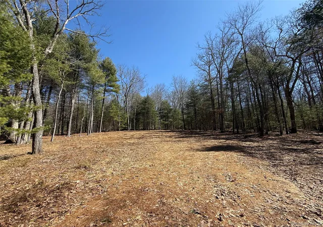 Homes for sale in Lumberland, NY | Upper Lumber Rd, Lumberland, NY 12737 | MLS# 977700