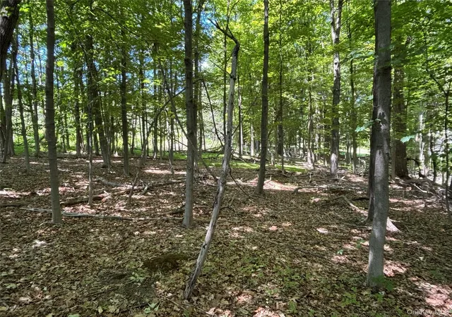 Photo 1 of Sale Pending at 0 Smith Rd, Poughkeepsie, NY 12603 | MLS# 977843 | Listing updated on 2026-09-19
