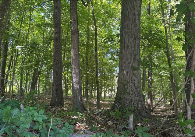 Photo 3 of Sale Pending at 0 Smith Rd, Poughkeepsie, NY 12603 | MLS# 977843 | Listing updated on 2026-09-19