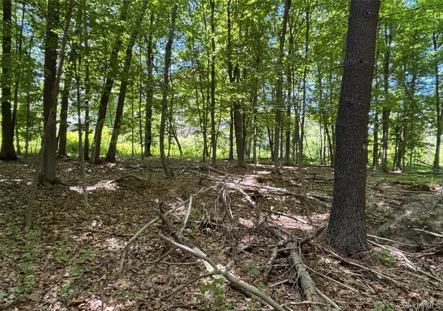Photo 3 of Sale Pending at 0 Smith Rd, Poughkeepsie, NY 12603 | MLS# 977843 | Listing updated on 2026-09-19