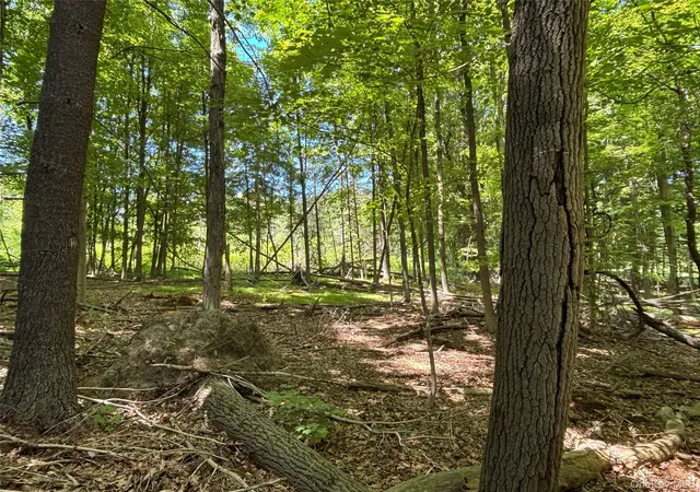 Photo 4 of Sale Pending at 0 Smith Rd, Poughkeepsie, NY 12603 | MLS# 977843 | Listing updated on 2026-09-19