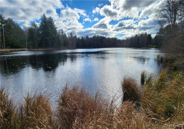 Photo 12 of Land for sale at Mongaup Rd, Monticello, NY 12701 | MLS# 977951 | Listing updated on 2026-04-15