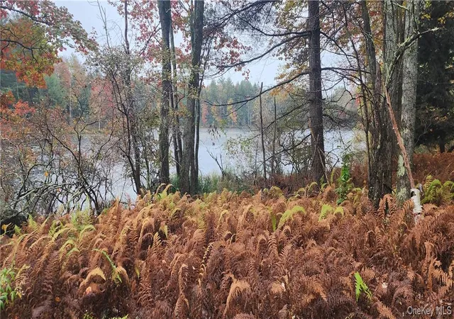 Photo 2 of Land for sale at Mongaup Rd, Monticello, NY 12701 | MLS# 977951 | Listing updated on 2026-04-15