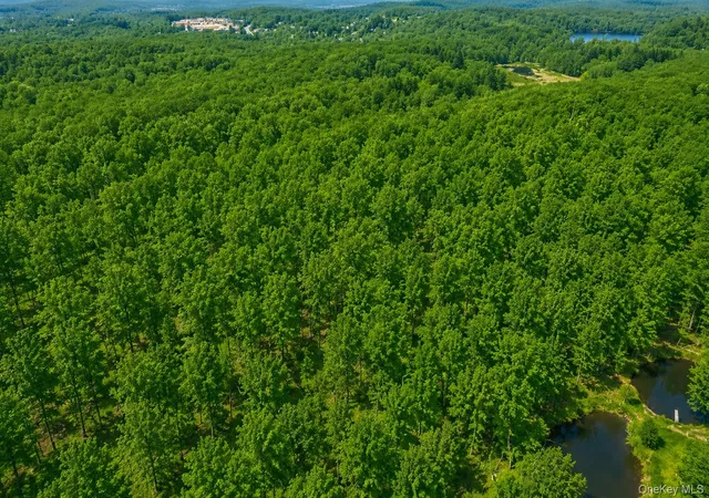 8th image of 40 Meads Ln, Stormville, NY 12582 | MLS# 977979