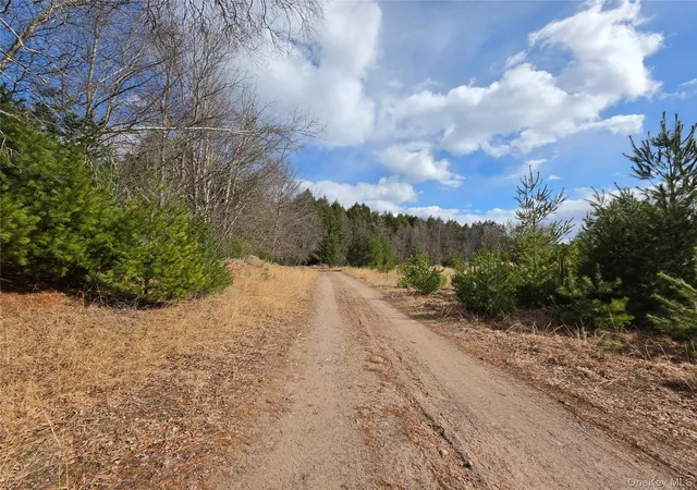 Homes for sale in Bethel, NY | Tbd Bobwhite Trl, Bethel, NY 12762 | MLS# 978297