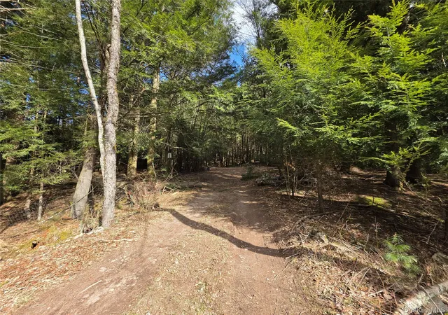 Homes for sale in Bethel, NY | Tbd Bobwhite Trl, Bethel, NY 12762 | MLS# 978297