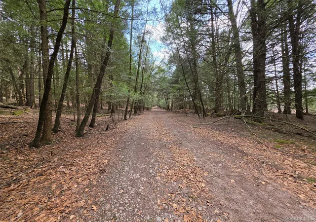 Homes for sale in Bethel, NY | Tbd Bobwhite Trl, Bethel, NY 12762 | MLS# 978297
