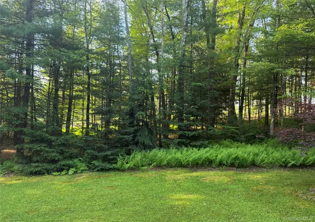 Photo 2 of Single family home for sale at 2769 State Route 55, Bethel, NY 12720 | MLS# 978498 | Listing updated on 2026-08-03