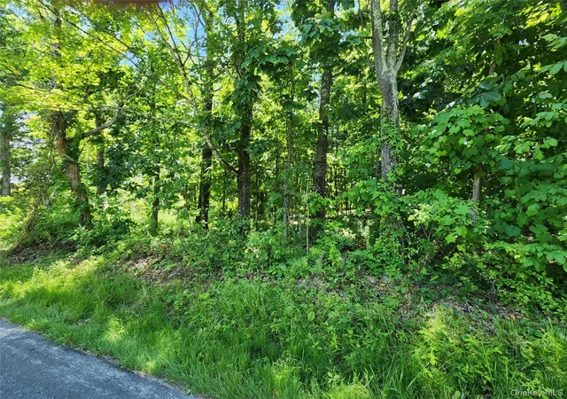 Homes for sale in Wawarsing, NY | Irish Cape Rd, Wawarsing, NY 12428 | MLS# 979094