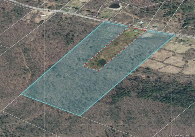 Homes for sale in Wawarsing, NY | Irish Cape Rd, Wawarsing, NY 12428 | MLS# 979094