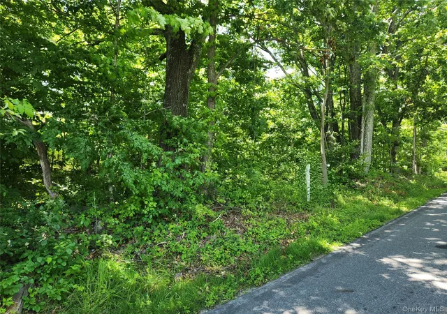 Homes for sale in Wawarsing, NY | Irish Cape Rd, Wawarsing, NY 12428 | MLS# 979094
