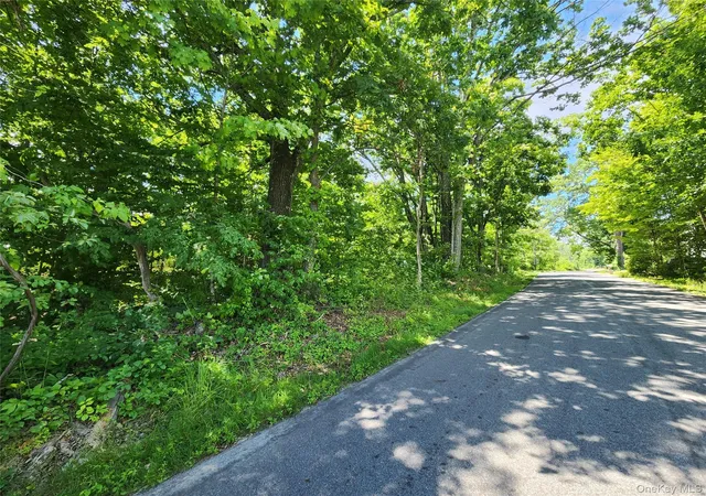 Homes for sale in Wawarsing, NY | Irish Cape Rd, Wawarsing, NY 12428 | MLS# 979094