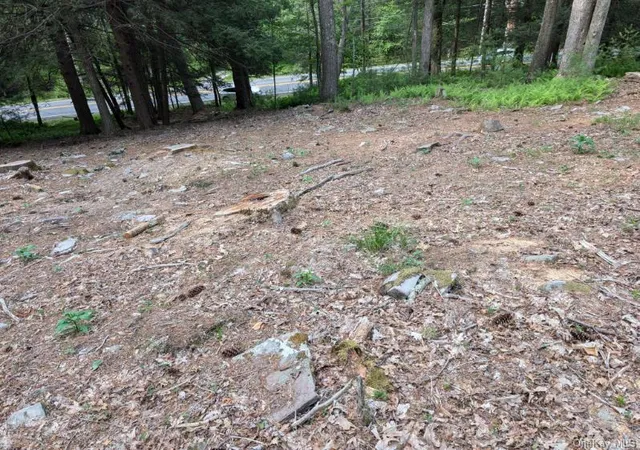 Homes for sale in Highland, NY | Eldred-Yulan Rd, Highland, NY 12792 | MLS# 979887
